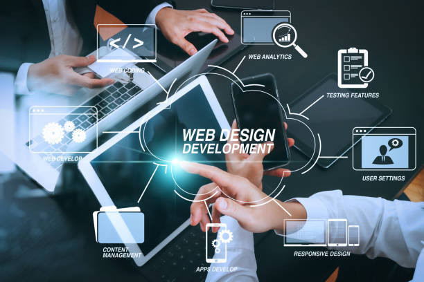 Professional WordPress Development